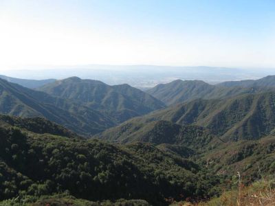 2006-10006.jpg