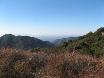 2006-10010.jpg