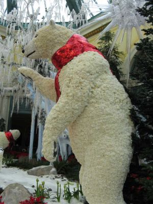 2006-12017.jpg