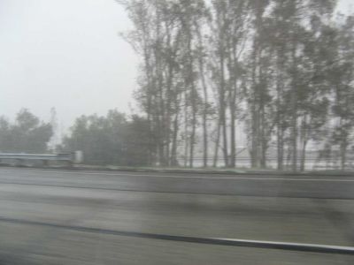 2007-01001.jpg