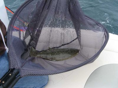 Fishin'
