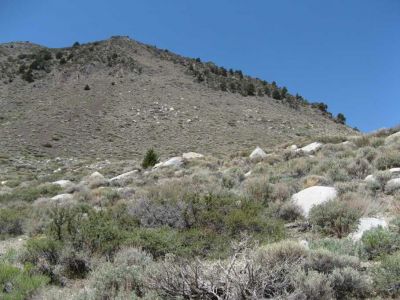 Dumbass hiking a hill (mountain?)
