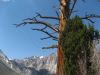 2007-04-2046.jpg