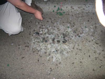 2007-07--22.jpg