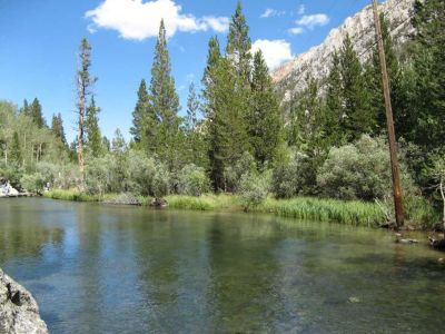 Bishop Creek
