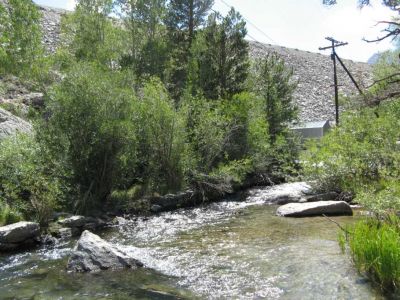Bishop Creek
