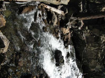 Bishop Creek
