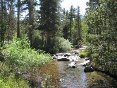 Bishop Creek
