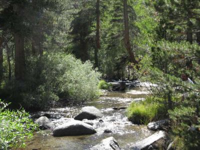 Bishop Creek
