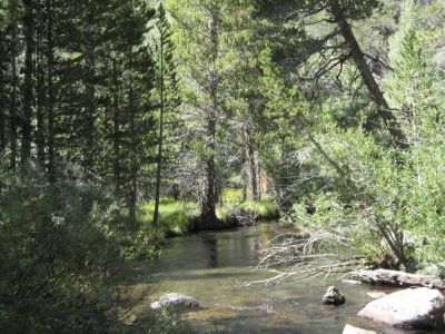 Bishop Creek
