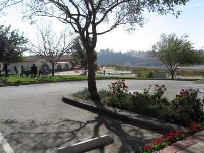 2007-11--018.jpg