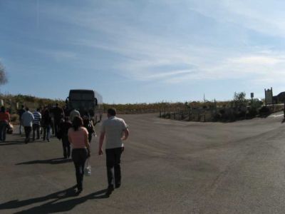 2007-11--028.jpg