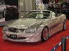 2007-11--a006.jpg