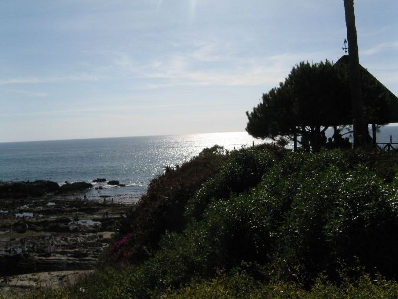 2008-02-s014.jpg