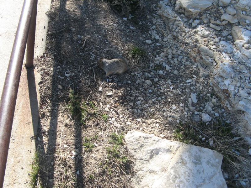 2008-03-012.jpg