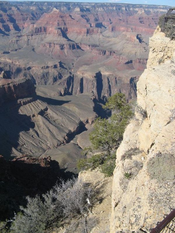 2008-03-015.jpg