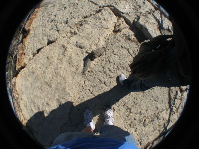 2008-03-021.jpg
