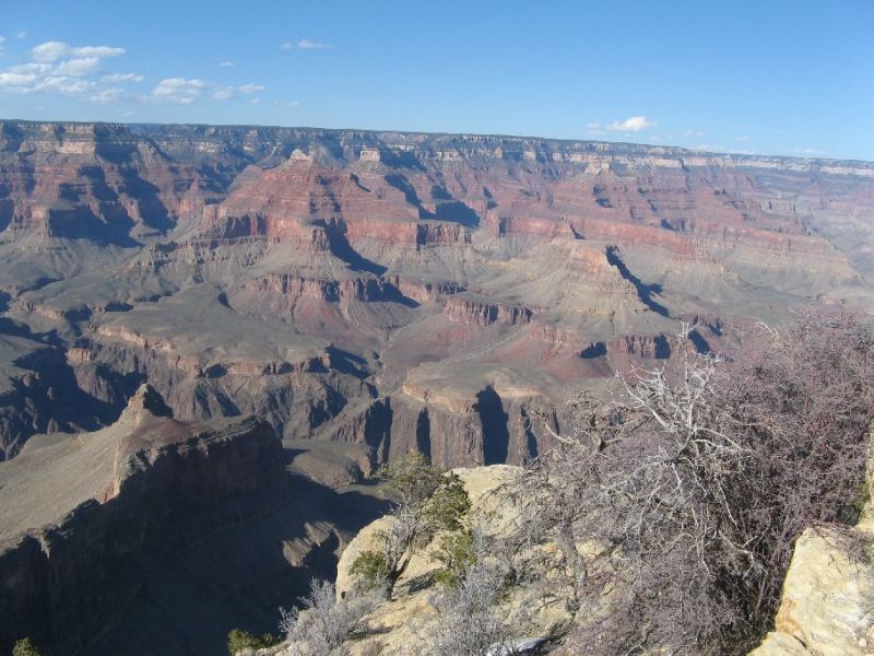 2008-03-026.jpg