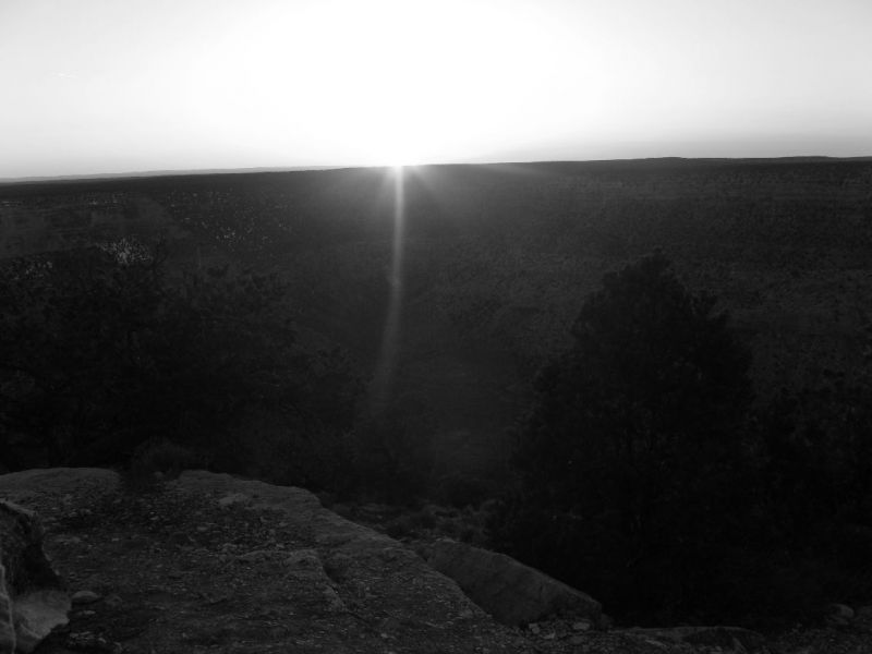 2008-03-062.jpg
