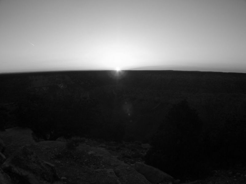 2008-03-066.jpg
