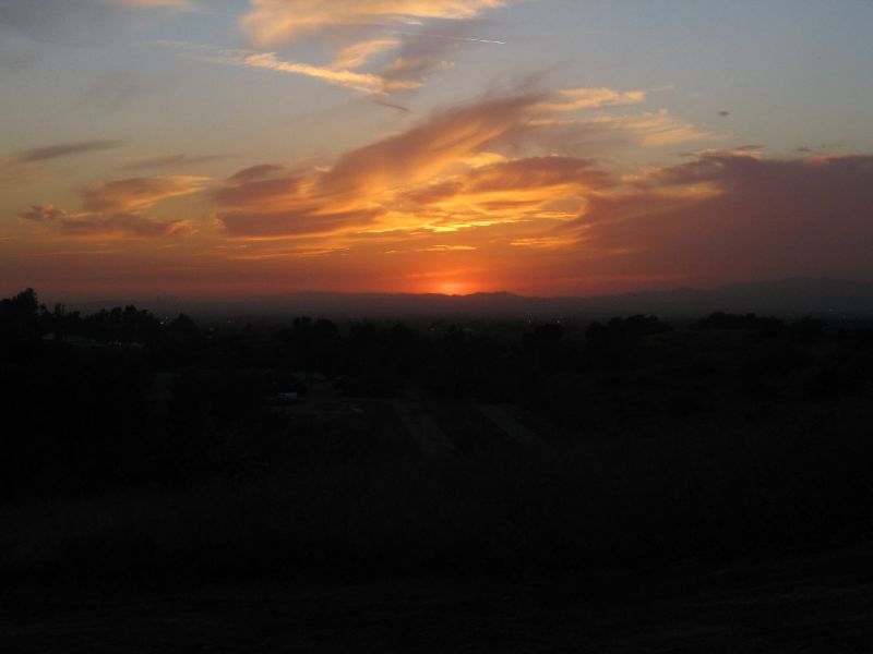 2008-03-119.jpg