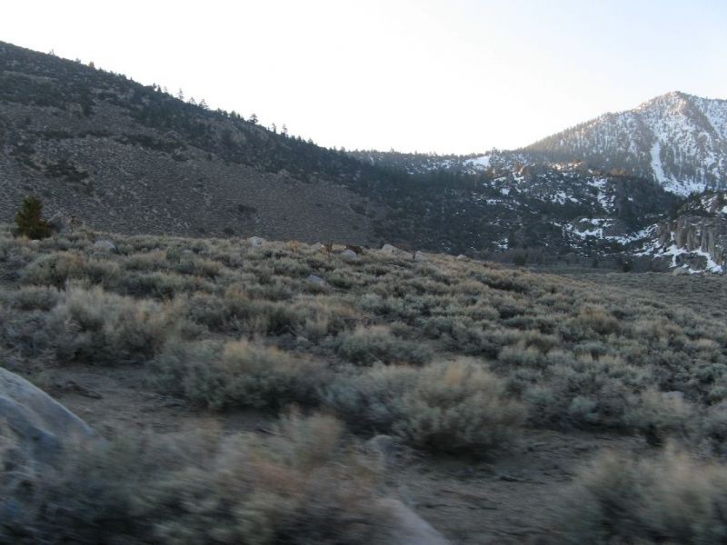 2008-04-006.jpg