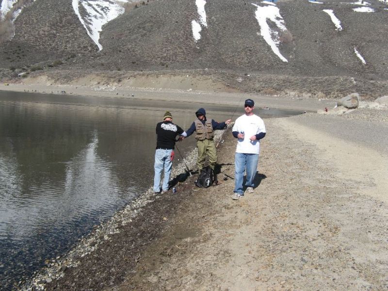 2008-04-008.jpg