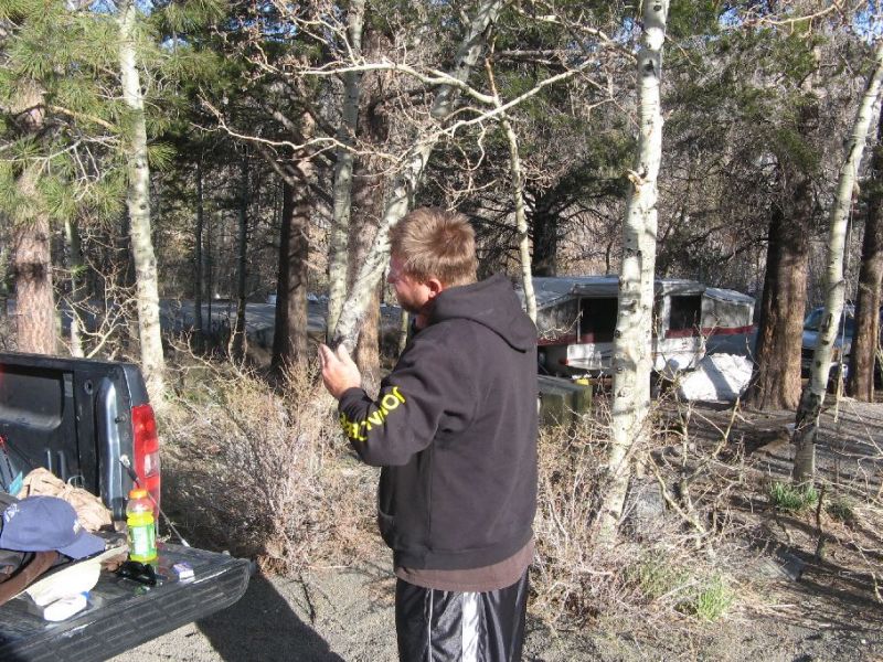 2008-04-013.jpg
