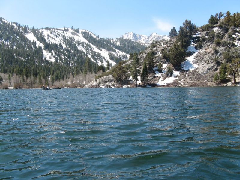 2008-04-019.jpg