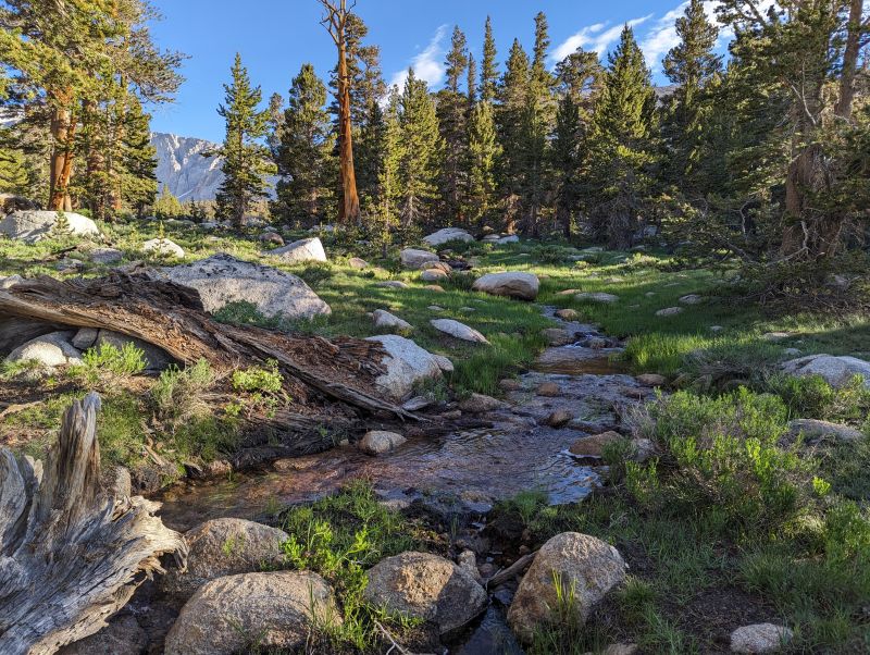 PXL_20230731_142655144.jpg