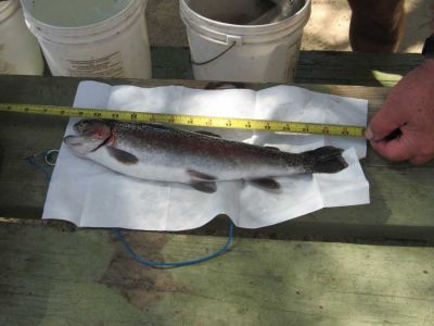 fishing06016.jpg
