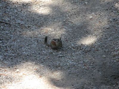 fishing06117.jpg