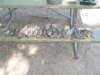 fishing06031.jpg
