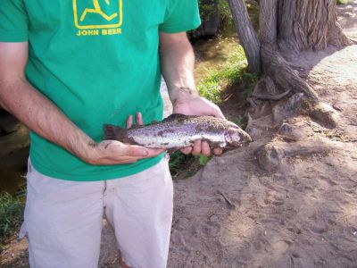 fishing905009.jpg