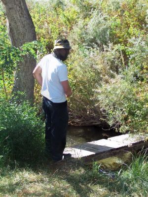 fishing905011.jpg