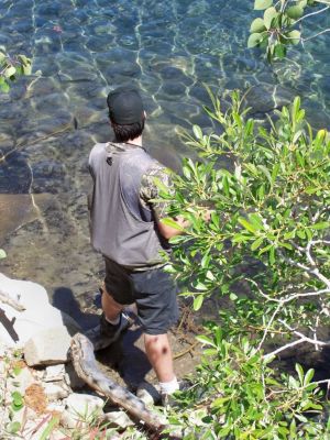 fishing905047.jpg