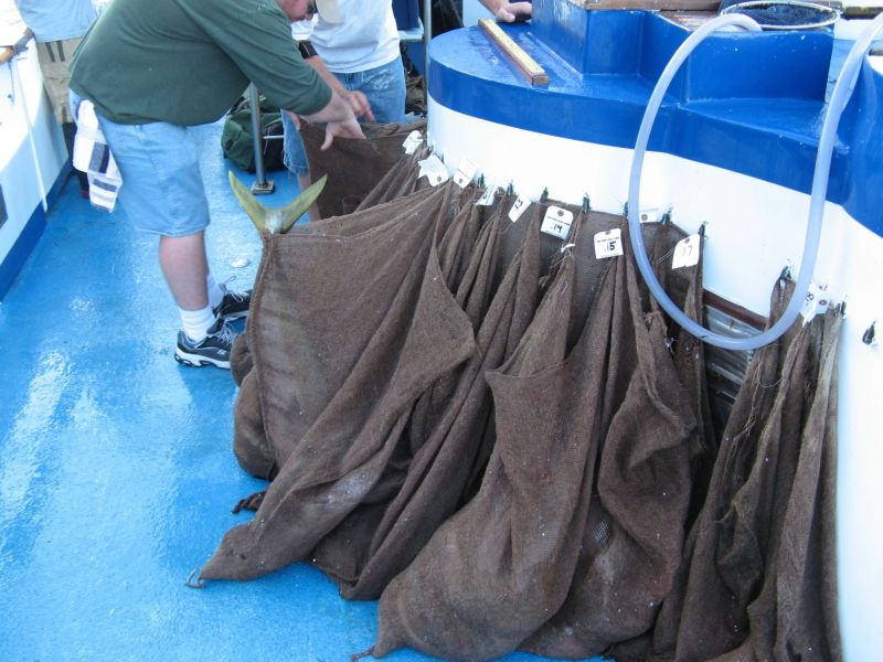 Fishing on the 'Fury'
