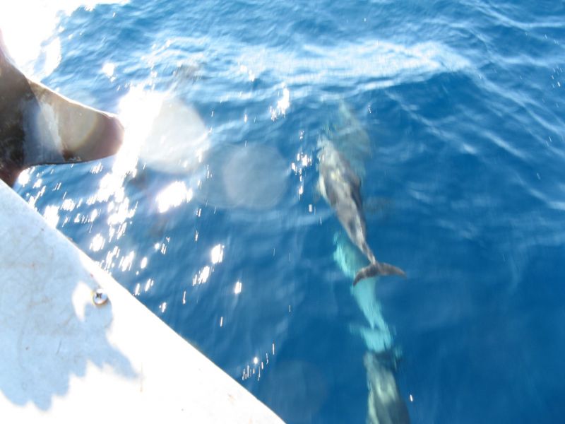 Fishing on the 'Fury'
