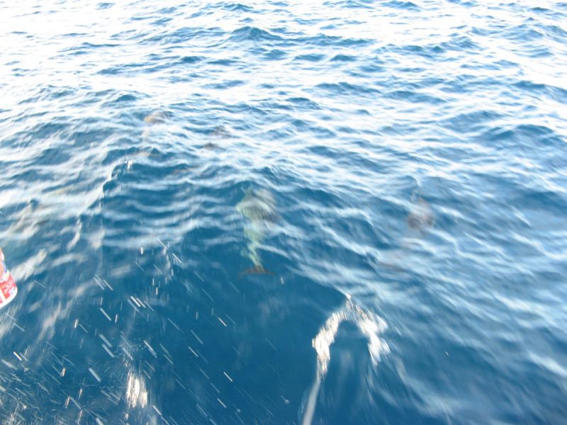 Fishing on the 'Fury'
