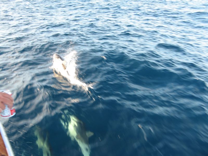 Fishing on the 'Fury'

