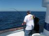 IMG_2024~0.JPG