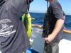 IMG_2033~0.JPG