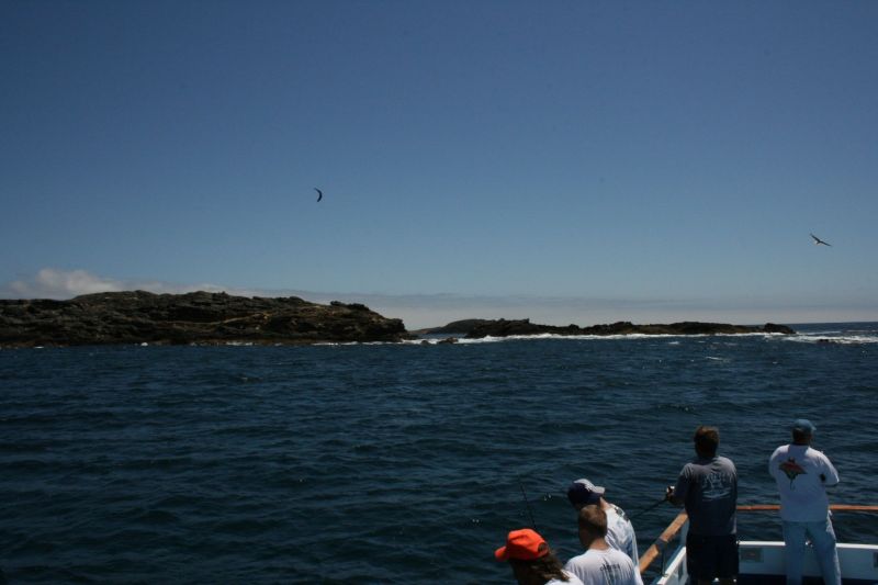 IMG 5399
