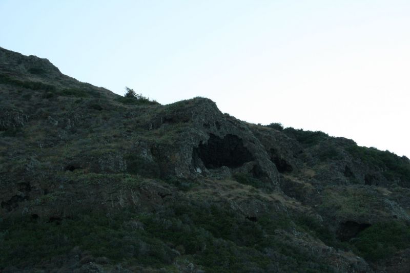 IMG 5554
