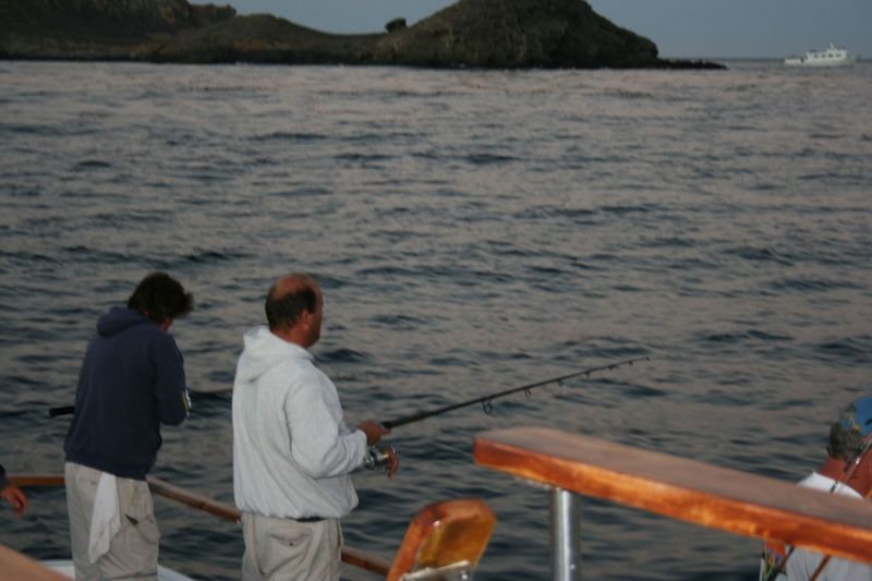 IMG 5570
