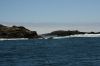 IMG_5401.JPG