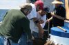 IMG_5414.JPG