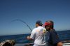 IMG_5441.JPG