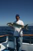 IMG_5465.JPG