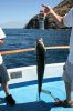 IMG_5467.JPG